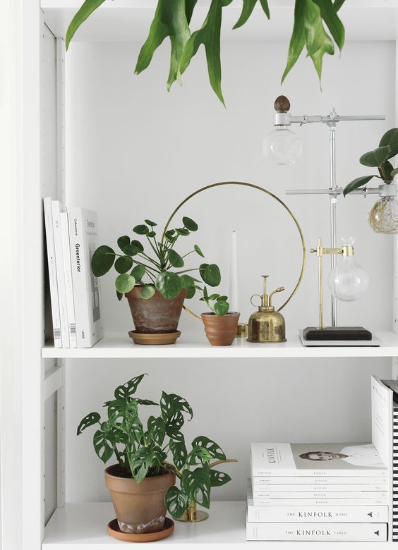 16f2184c4a82b7d08f2756d5dc7d5806