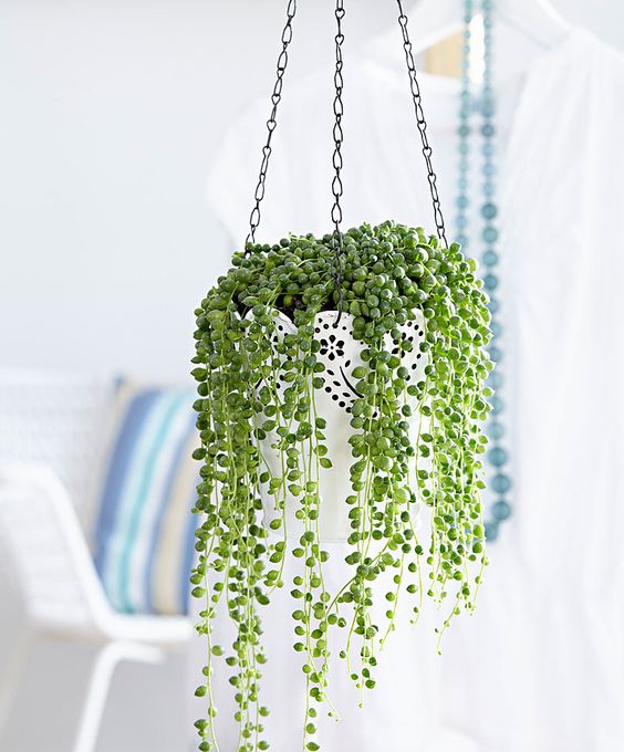 9a3e2f807c3364e6b60a0ecc661b8926